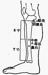 關位源|醫砭 » 經穴庫 » 關元